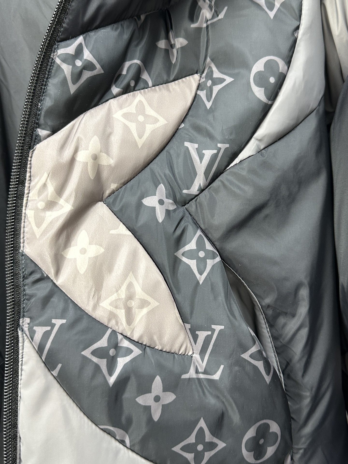 Louis Vuitton Down Jackets